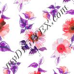Colour:B