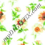 Colour:K