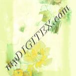 Colour:K