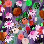 Colour:B