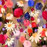 Colour:J