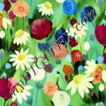 Colour:K