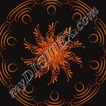 Colour:F