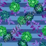 Colour:F