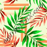 Colour:K