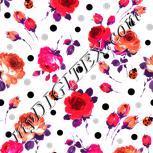 Colour:B