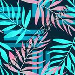 Colour:F