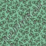 Colour:D