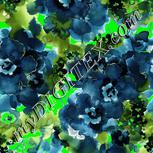 Colour:F
