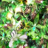 Colour:C