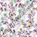 Colour:B