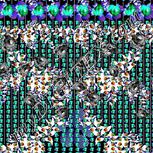 Colour:F