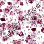 Colour:B