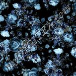 Colour:F