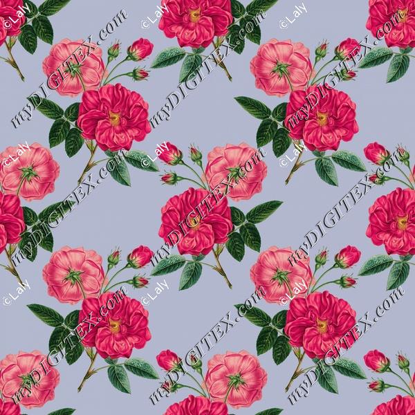 Vintage roses background