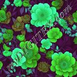 Colour:C