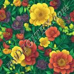 Colour:K