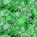 Colour:K