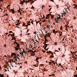 Colour:J