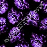 Colour:F