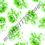 Colour:K