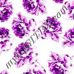 Colour:C