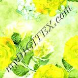 Colour:K