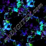 Colour:F