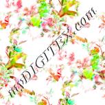 Colour:B