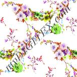 Colour:D