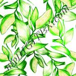 Colour:C