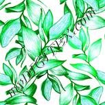Colour:D