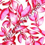 Colour:J