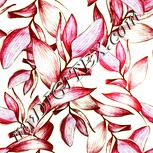 Colour:K