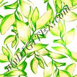 Colour:J