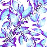 Colour:K