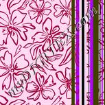 Colour:B