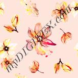 Colour:B