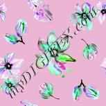 Colour:B