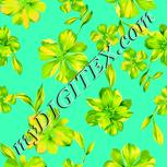 Colour:B