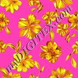 Colour:C