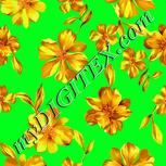Colour:C