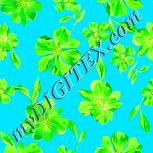 Colour:F