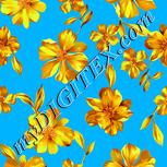 Colour:C