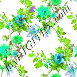 Colour:B