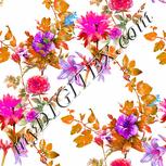 Colour:C