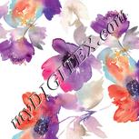Colour:A