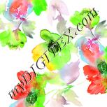 Colour:B