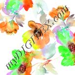 Colour:C