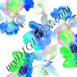 Colour:D